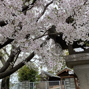 ４月の定休日のお知らせ